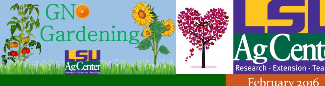 GNO Gardening - February 2016